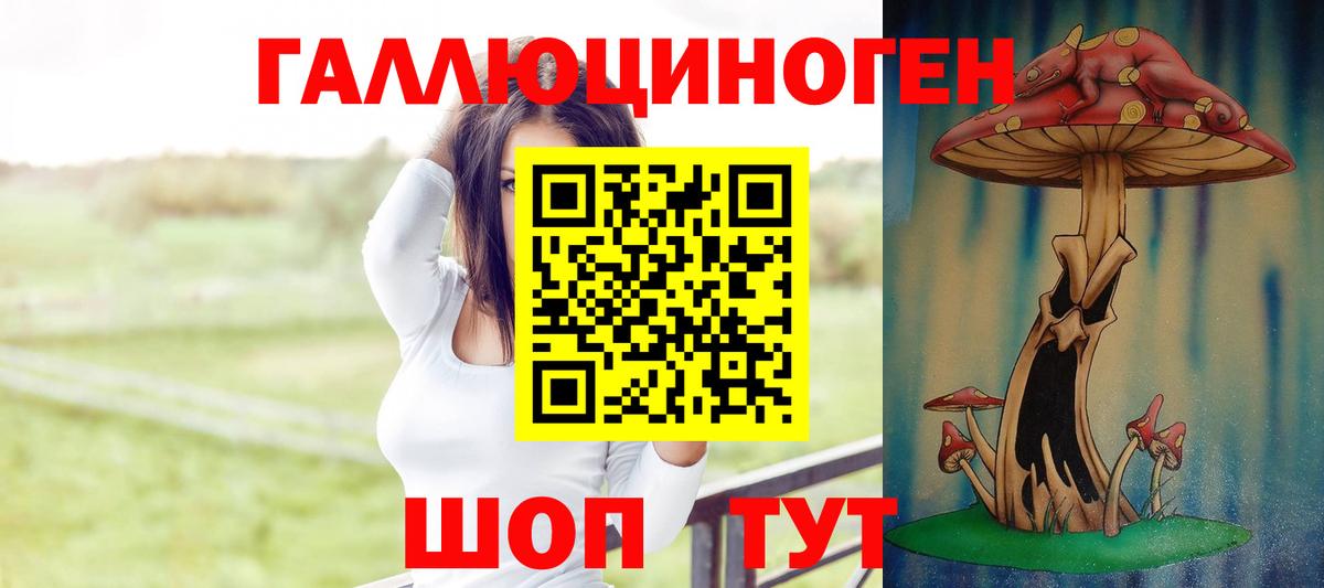 Галлюциногенные грибы прущие грибы Новотроицк